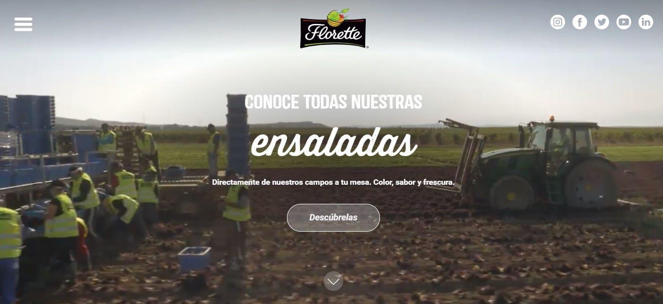 40 grandes marcas que usan WordPress sitio web de florette